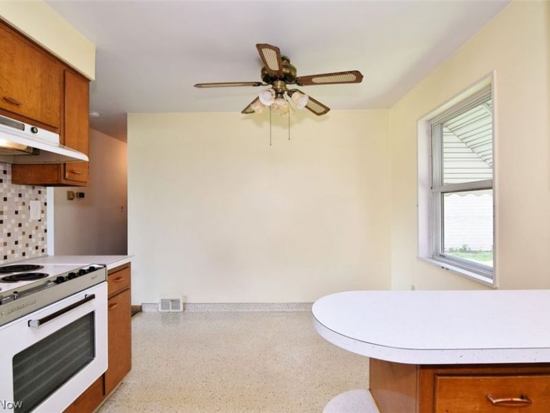 232 E 293rd Street, Willowick, OH 44095 Photo 12
