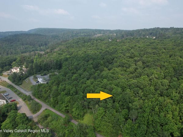 00* Timberwolf Road, Liberty, NY 12754
