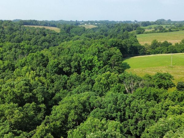 277 Needham Lane, Dry Ridge, KY 41035