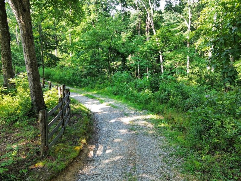 277 Needham Lane, Dry Ridge, KY 41035 Photo 10