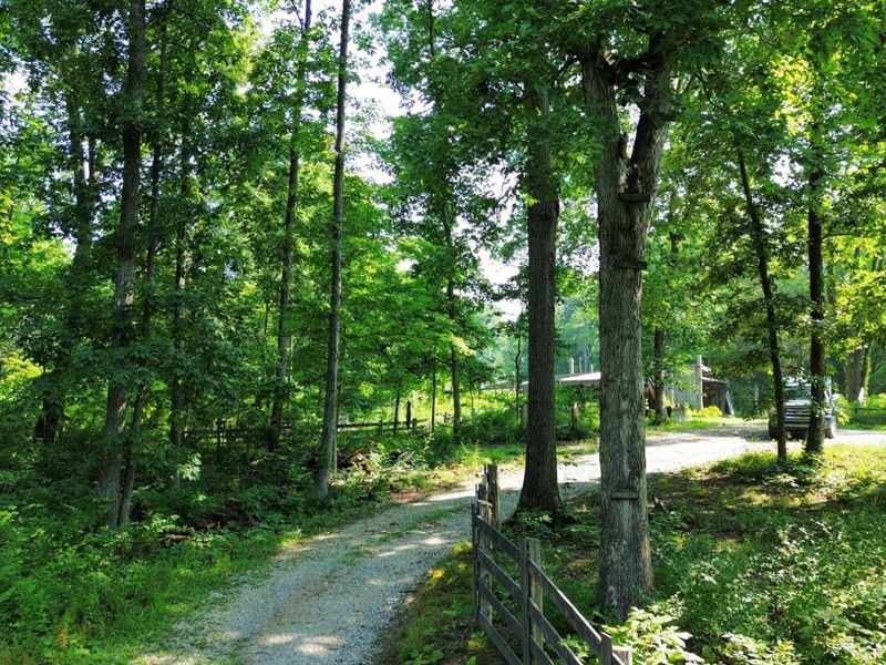 277 Needham Lane, Dry Ridge, KY 41035 Photo 11
