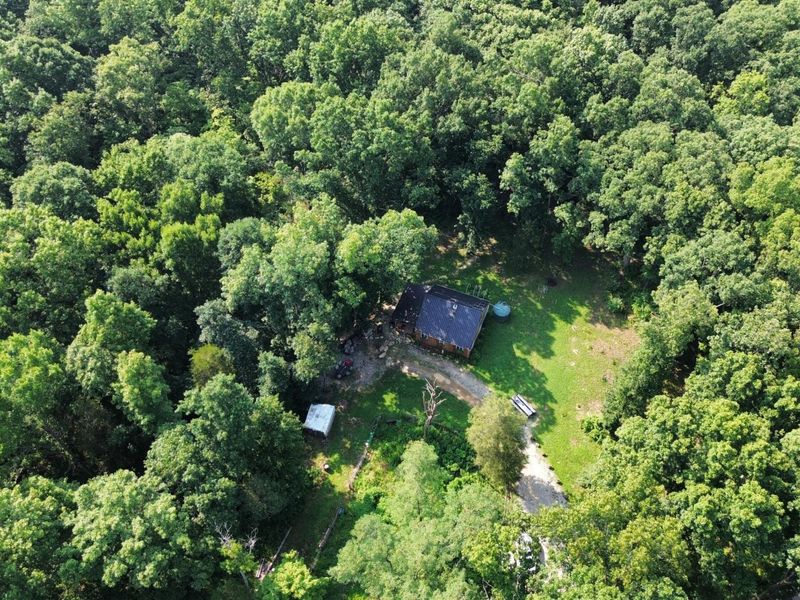 277 Needham Lane, Dry Ridge, KY 41035 Photo 18