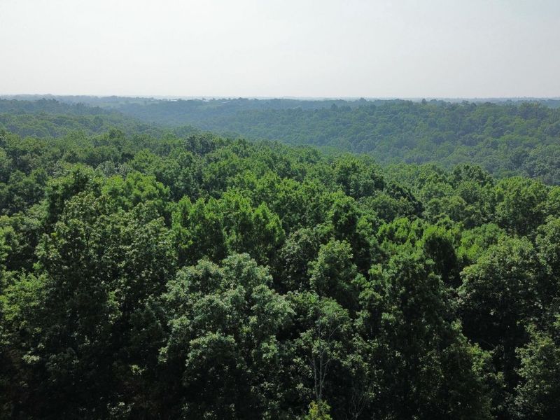 277 Needham Lane, Dry Ridge, KY 41035 Photo 21