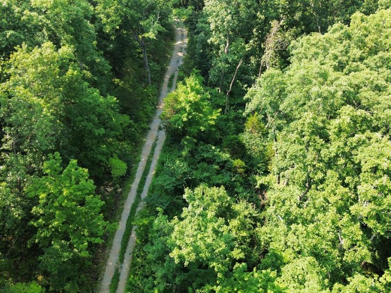 277 Needham Lane, Dry Ridge, KY 41035 Photo 6