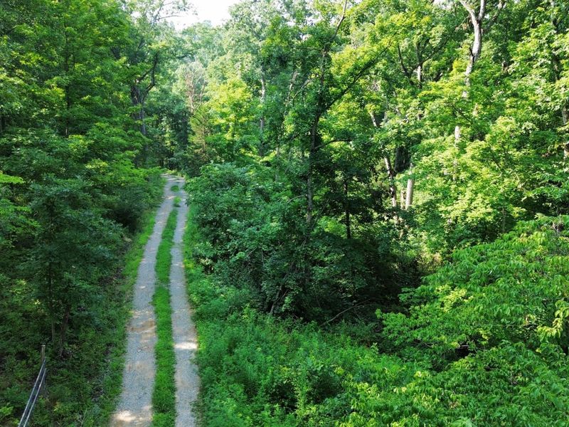 277 Needham Lane, Dry Ridge, KY 41035 Photo 7