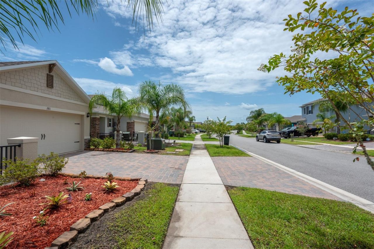 281 Caryota Court , New Smyrna Beach, FL 32168 Photo