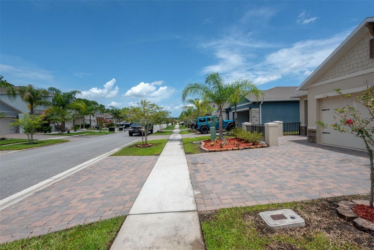 281 Caryota Court , New Smyrna Beach, FL 32168 Photo