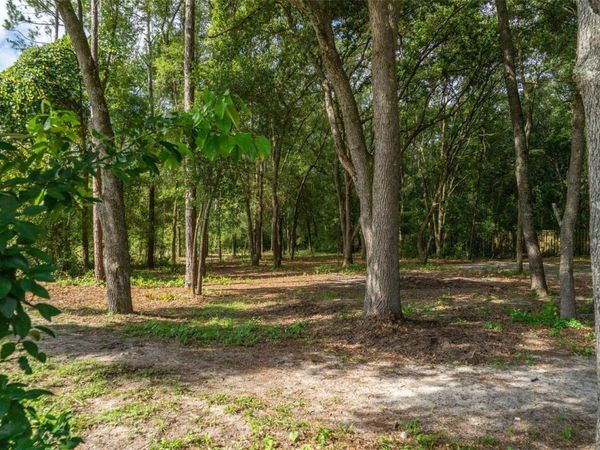40 DEER TRAIL CIRCLE, BRONSON, FL 32621