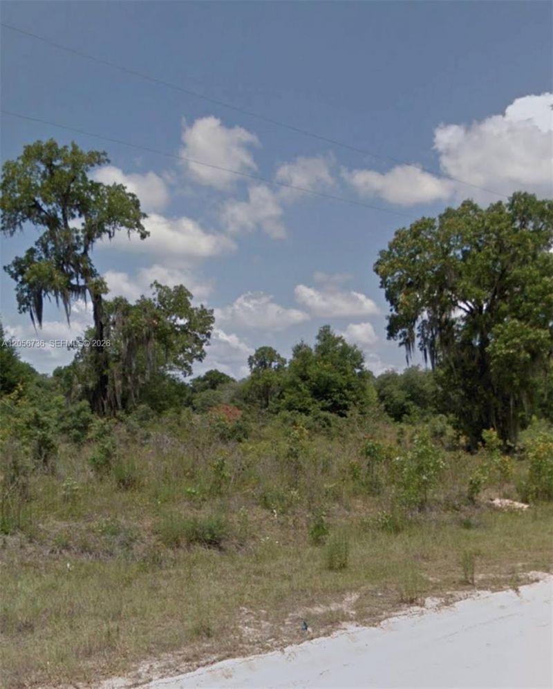 653 Cousintown Rd , Interlachen, FL 32148 Photo