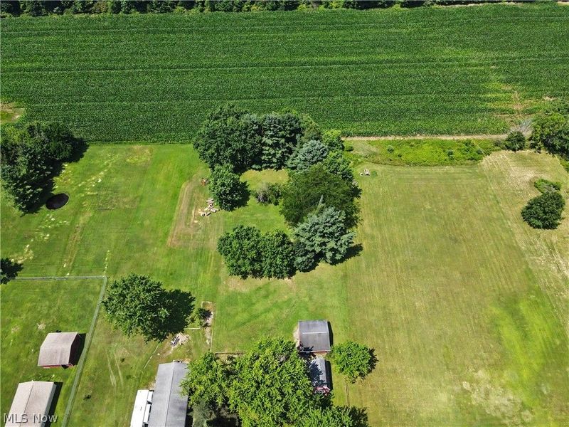 3895 Stroup Road, Rootstown, OH 44272 Photo 8