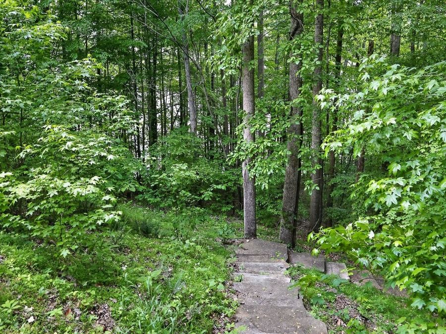 Property Image 55