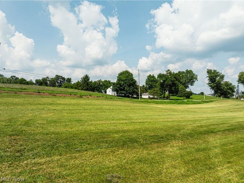 Orchard Street , Baltic, OH 43804 Photo 10