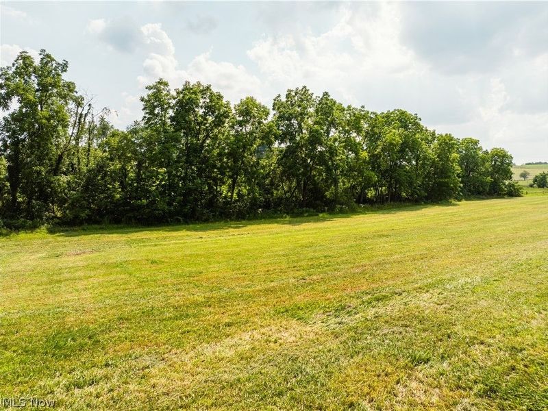 Orchard Street , Baltic, OH 43804 Photo 17