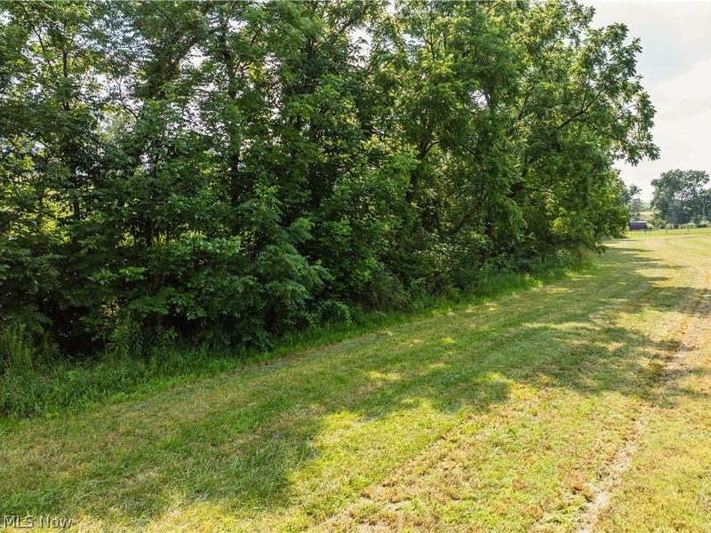 Orchard Street , Baltic, OH 43804 Photo 18