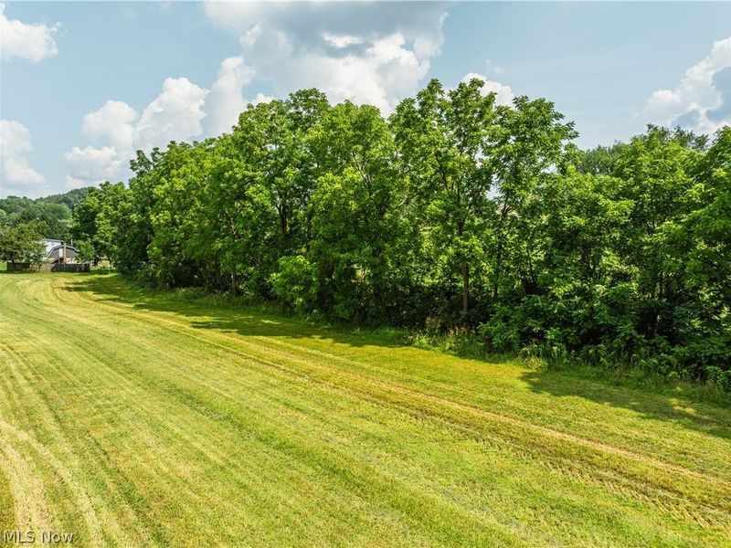 Orchard Street , Baltic, OH 43804 Photo 6