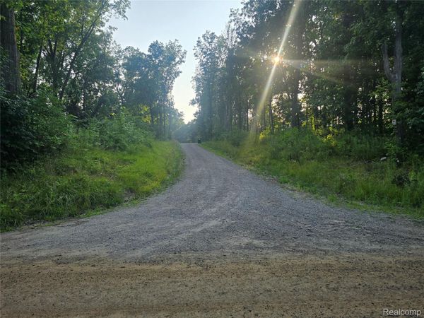 03 N Hughes Rd Road, Oceola Township, Mi 48843