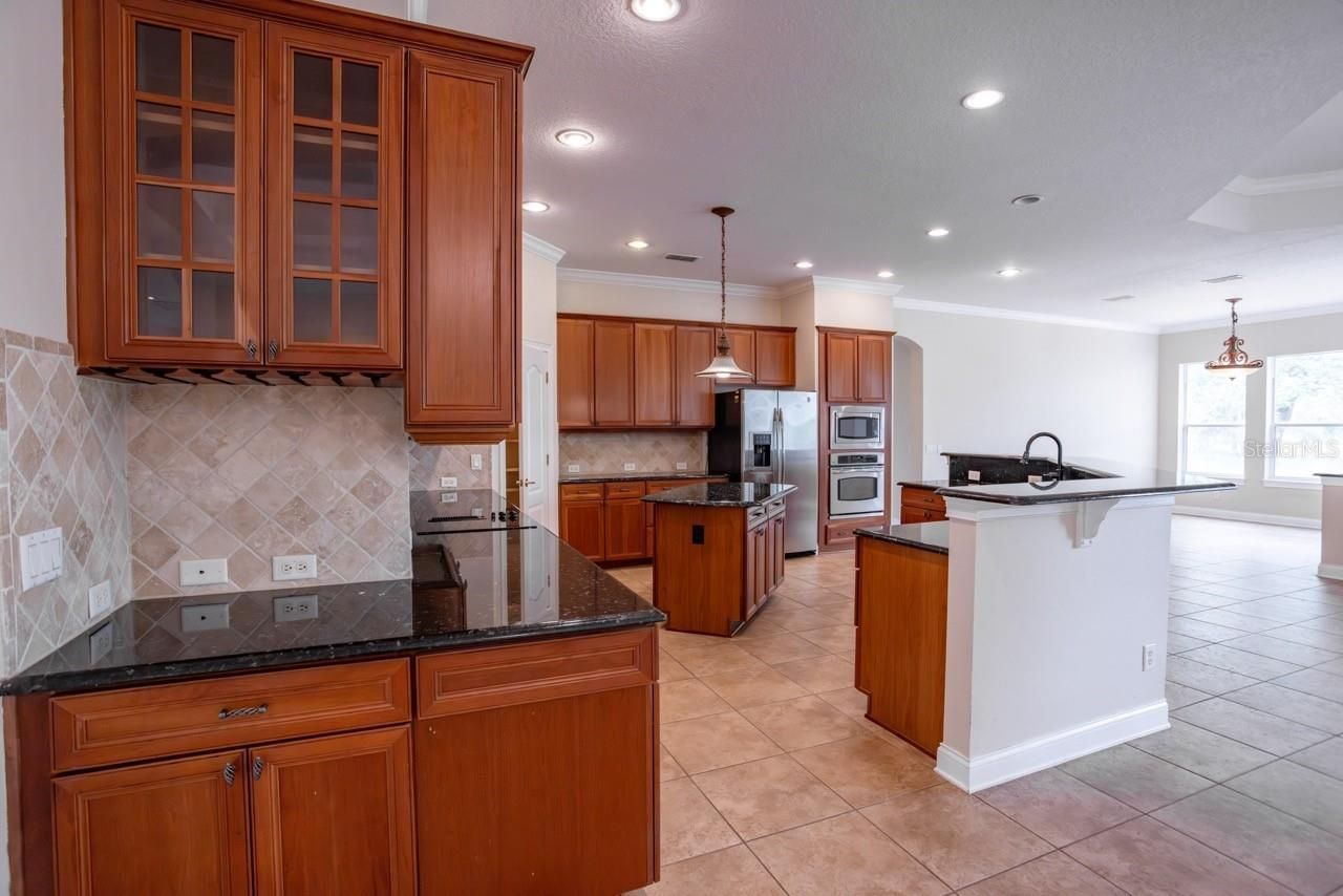 25609 Hawks Run Lane, Sorrento, FL 32776 Photo