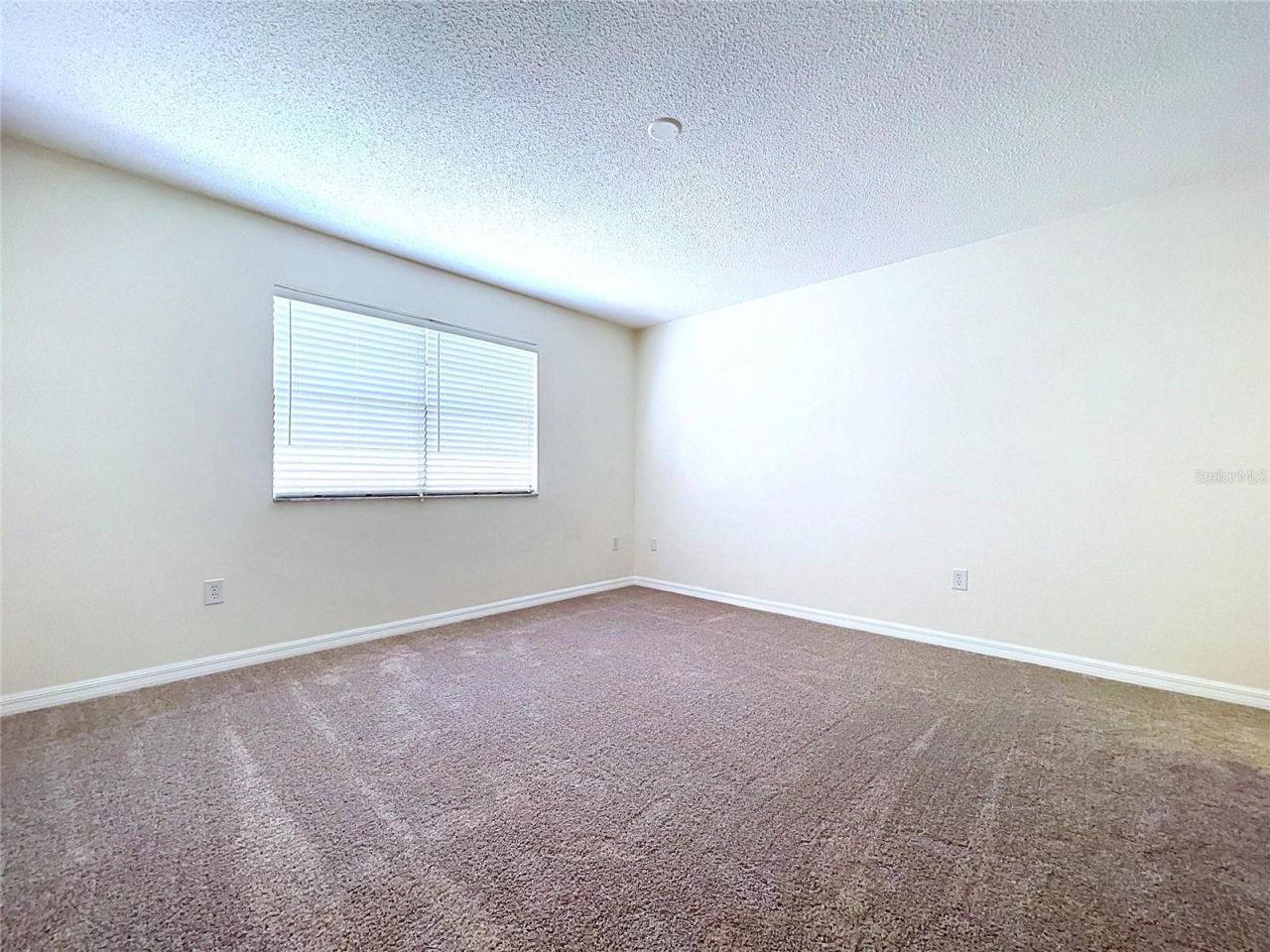12132 Shadow Ridge Boulevard, Hudson, FL 34669 Photo