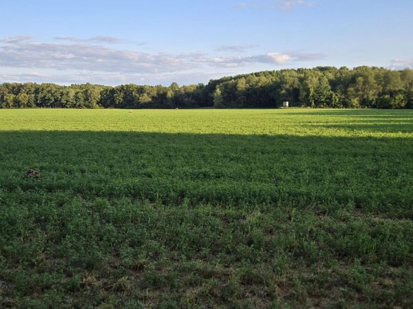 11852 Rooksby Street NE, Sand Lake, MI 49343