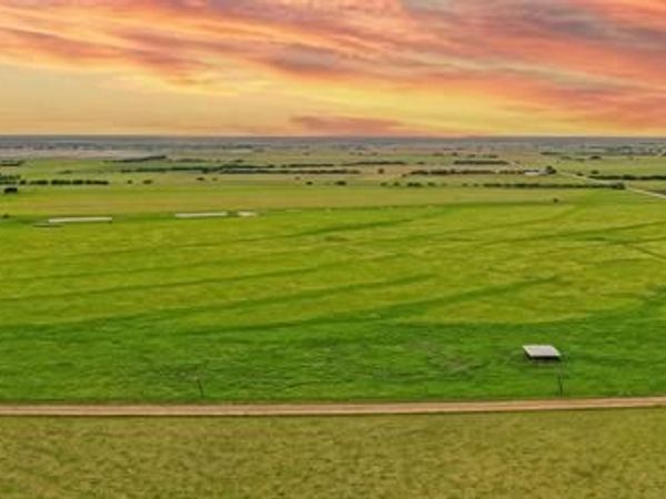 1010 County Road 382, Era, TX 76238