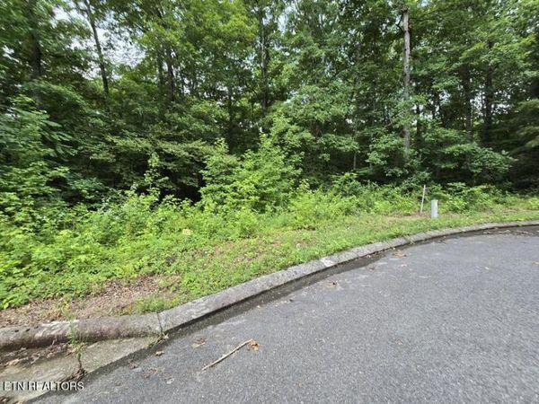 Lot 142 Lower Brow Rd, Dunlap, TN 37327