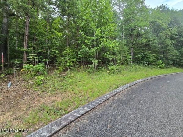 Lot 155 Lower Brow Rd, Dunlap, TN 37327