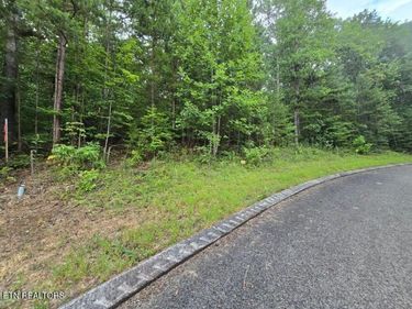 Lot 155 Lower Brow Rd, Dunlap, TN 37327