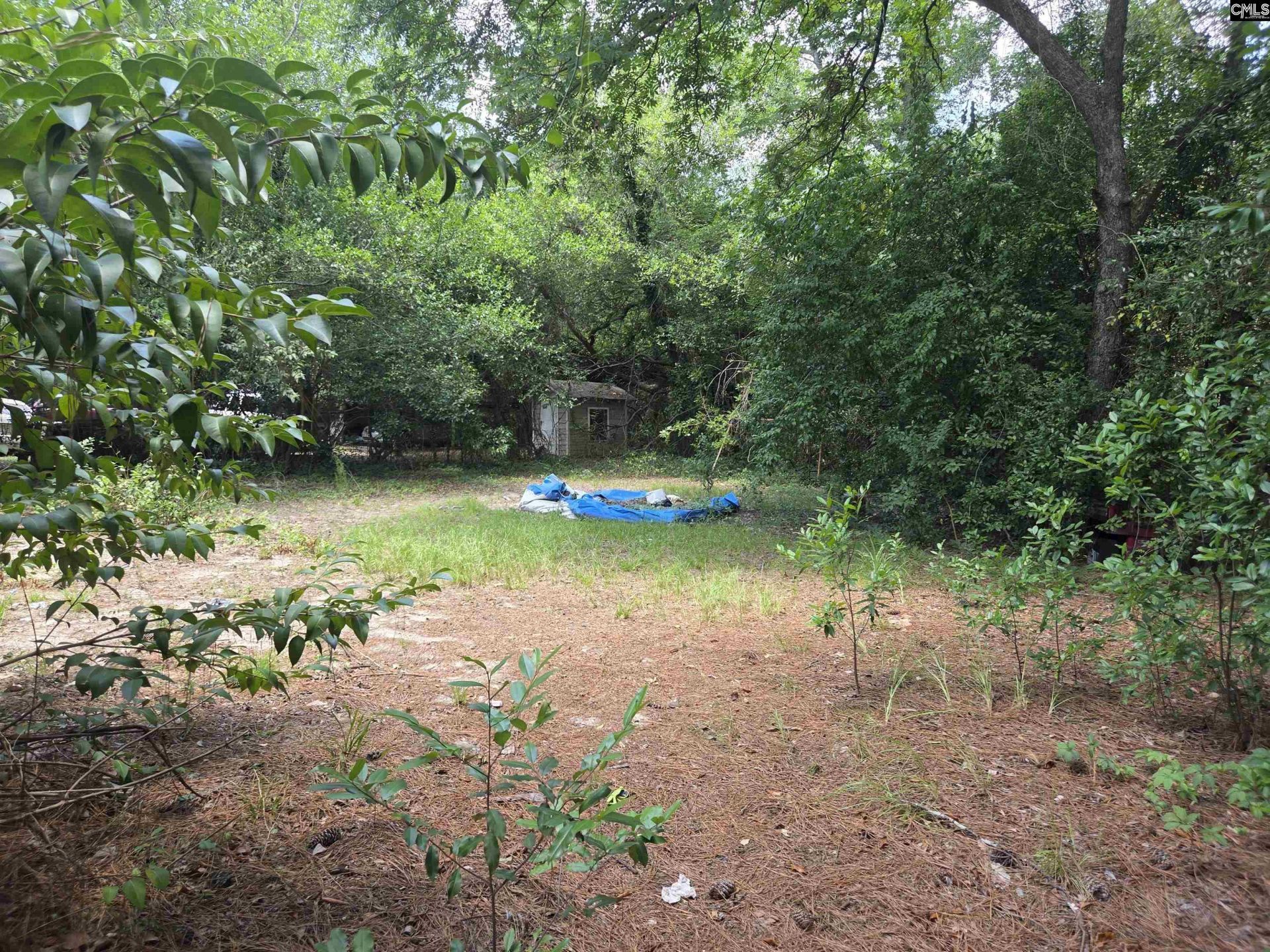 461 Allen Drive  Photo 12