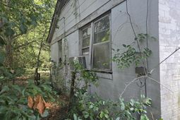 461 Allen Drive  photo 4