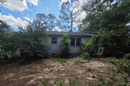 461 Allen Drive  photo 4