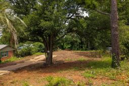 4224 Williamsburg Drive  photo 4