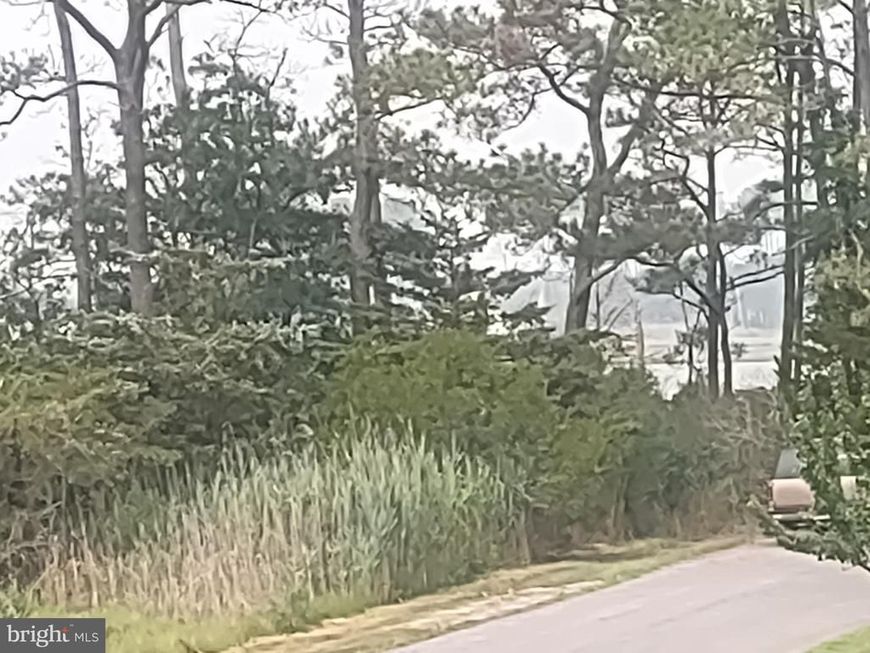 Salisbury Rd , Ocean City, MD 21842 Main Photo
