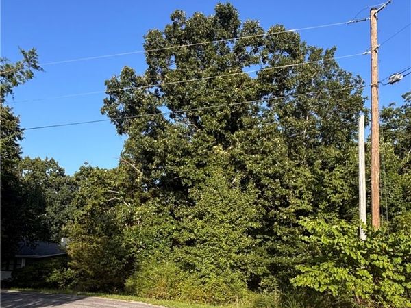 Lot 7 Block 7 Ledbetter Lane , Bella Vista, AR 72715
