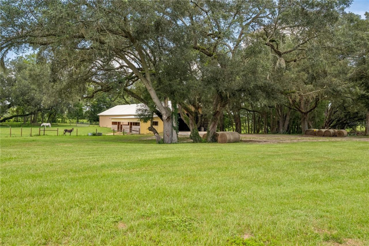 4107 SW State Road 45, Newberry, FL 32669 Photo