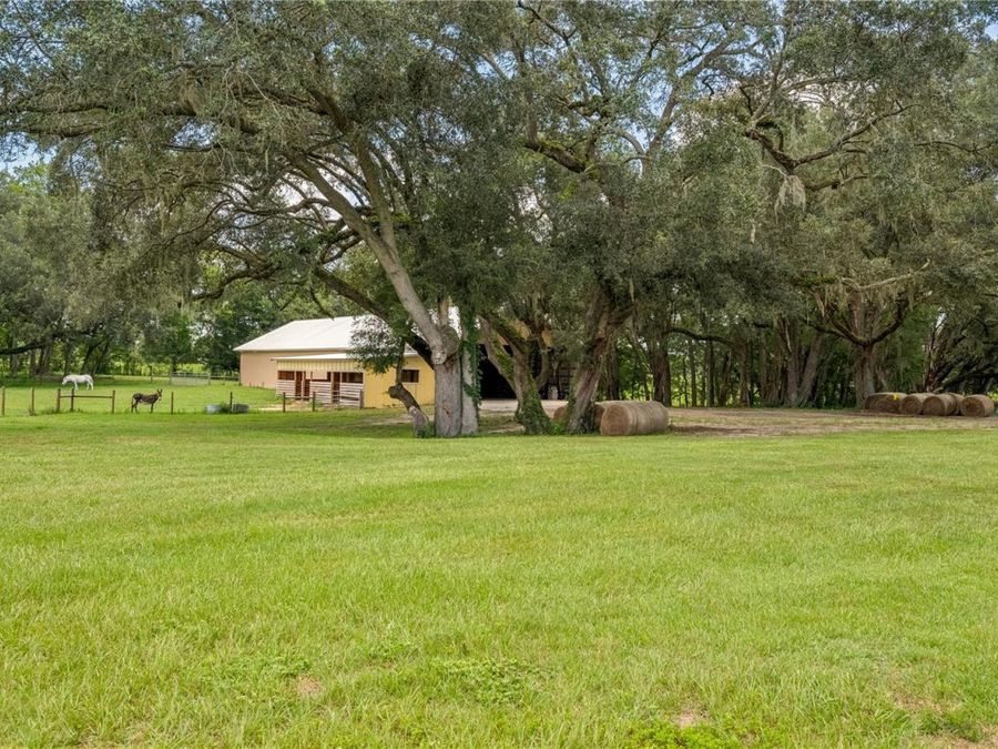 Property Image 66
