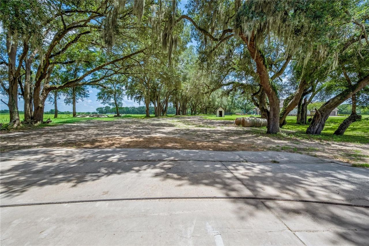 4107 SW State Road 45, Newberry, FL 32669 Photo