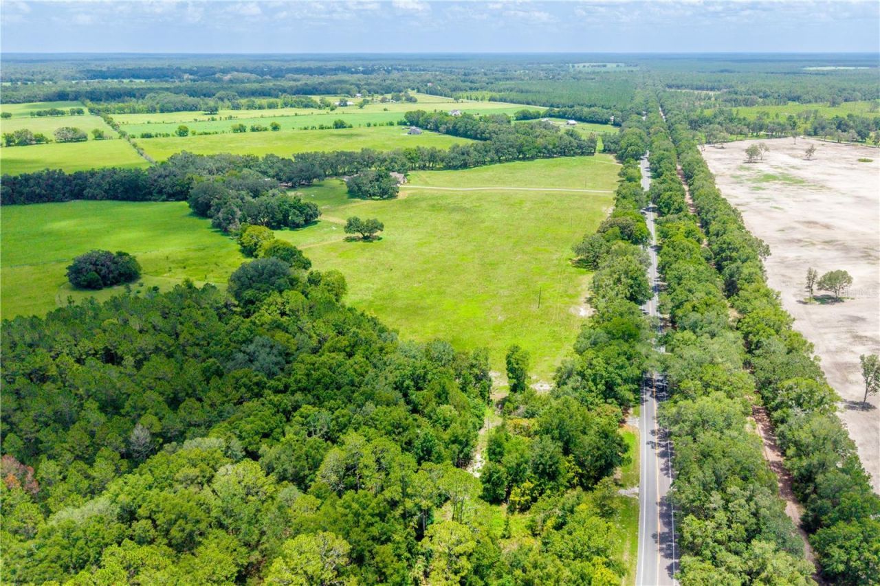 4107 SW State Road 45, Newberry, FL 32669 Photo