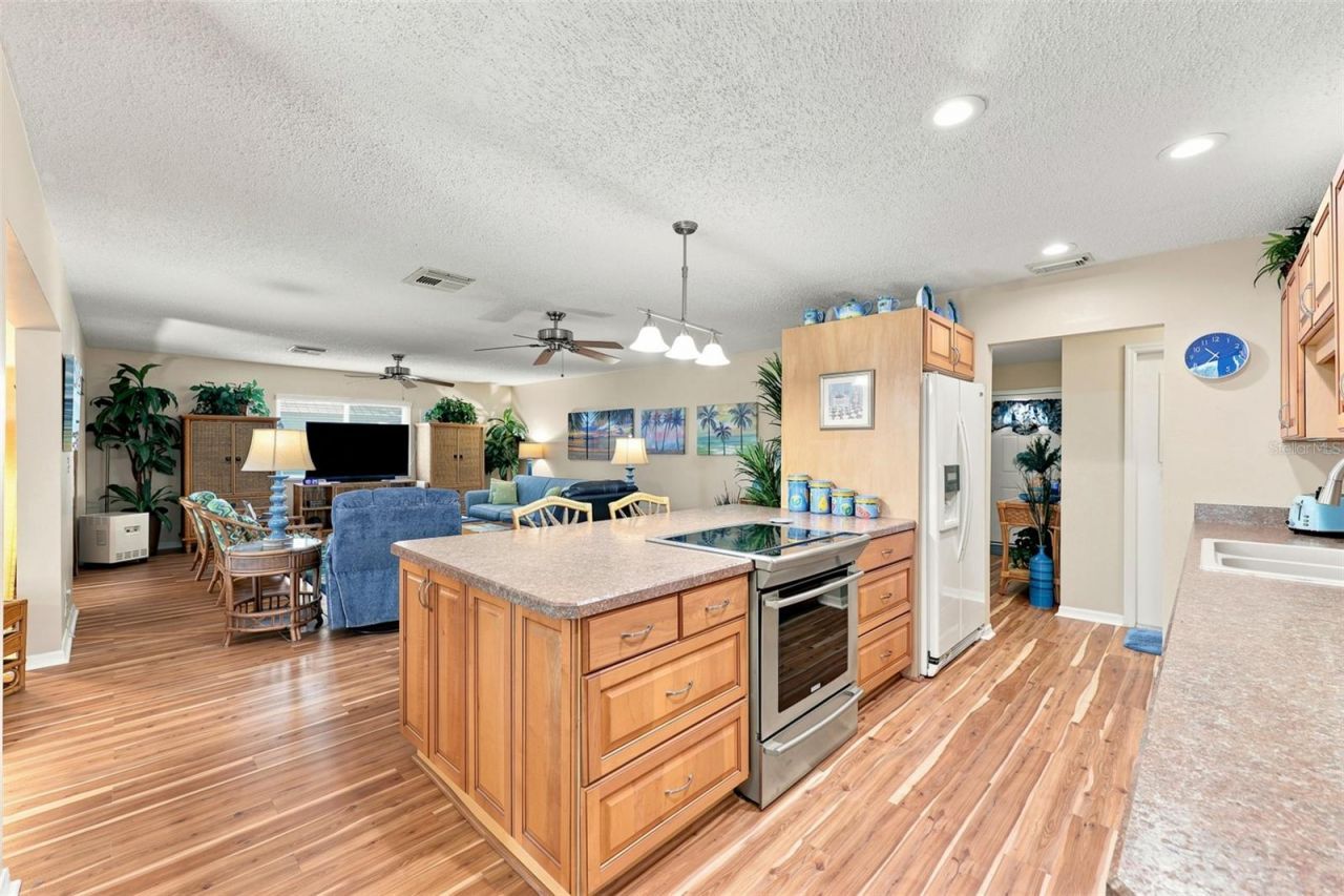1002 El Rancho Drive , Sun City Center, FL 33573 Photo