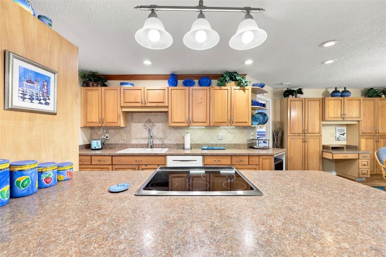 1002 El Rancho Drive , Sun City Center, FL 33573 Photo