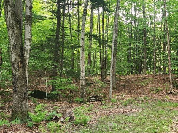 0 Beechwood Drive, Cornish, NH 03745