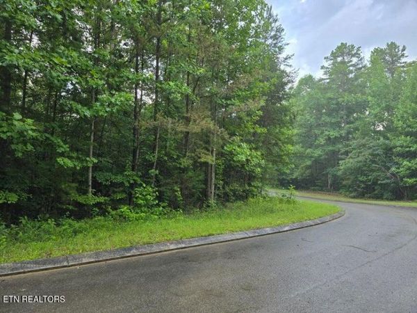 Lot 156 Lower Brow Rd, Dunlap, TN 37327