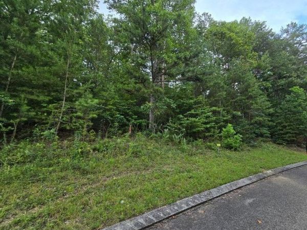Lot 157 Lower Brow Rd, Dunlap, TN 37327