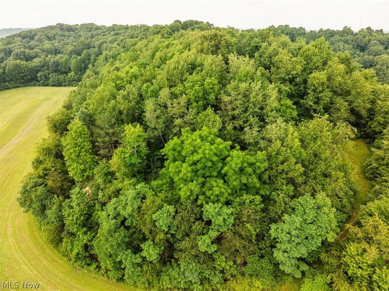 Township Road 85 , Baltic, OH 43804 Photo 24