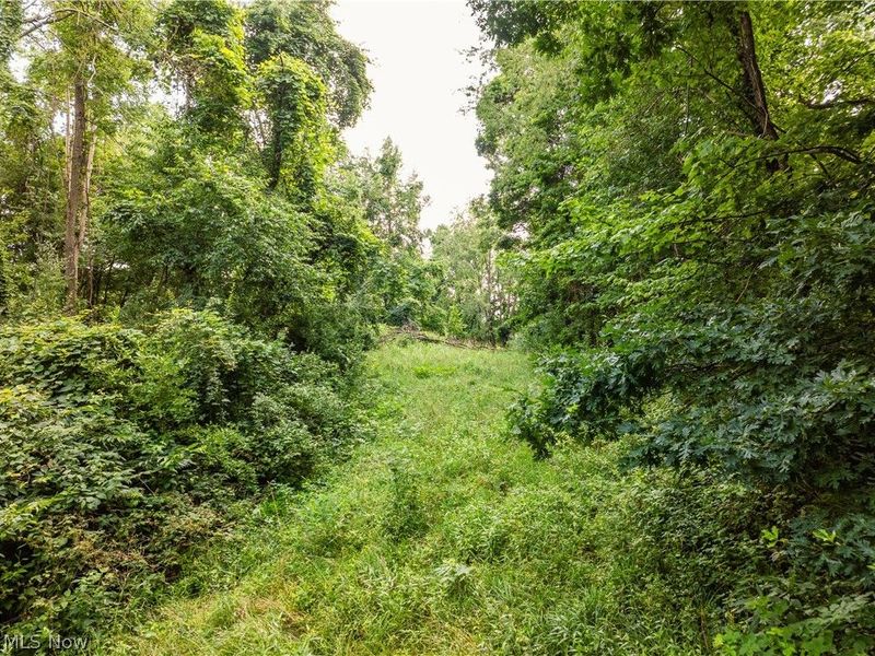 Township Road 85 , Baltic, OH 43804 Photo 47