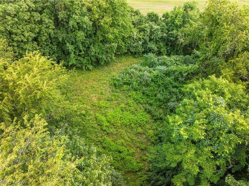 Township Road 85 , Baltic, OH 43804 Photo 48