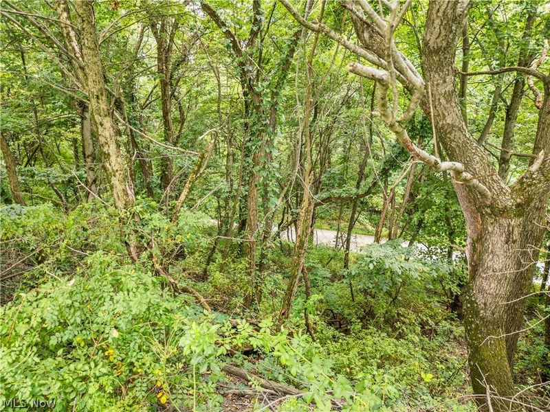 Township Road 85 , Baltic, OH 43804 Photo 6