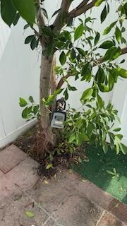 1470 N Dixie Highway, Unit 16, Fort Lauderdale, FL 33304 Photo