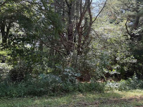 .27 Acre Lot Gem Court, Wisconsin Dells, WI 53965