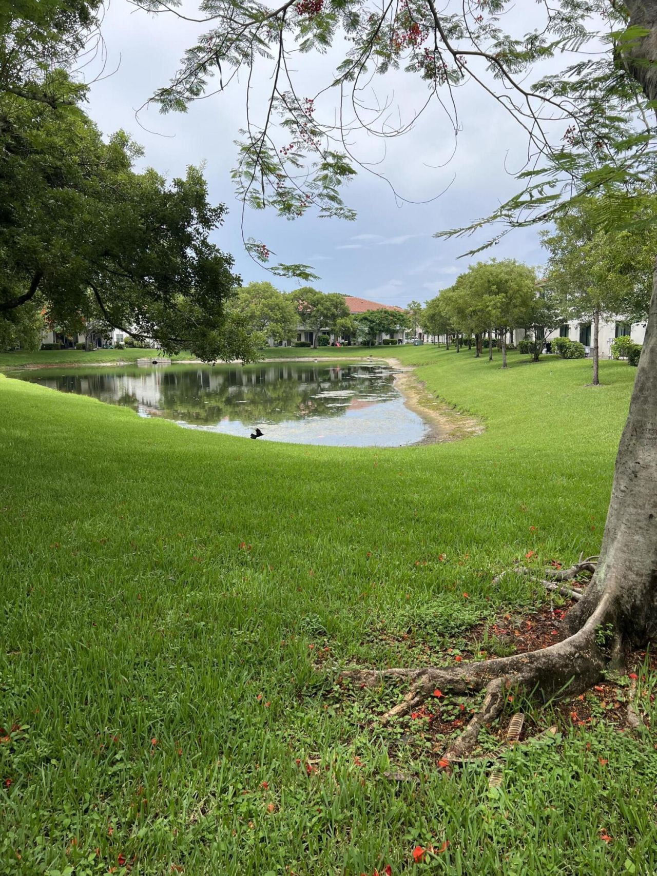 4113 Napoli Lake Drive, Riviera Beach, FL 33410 Photo