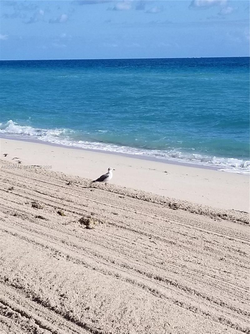 5825 Collins Ave , Unit 9C, Miami Beach, FL 33140 Photo